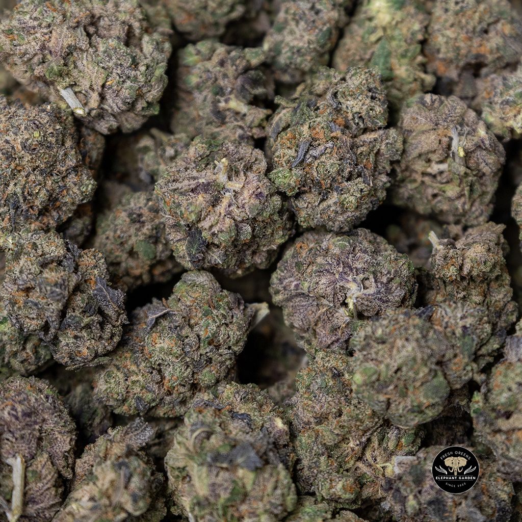 Funky Monkey Bulk 2