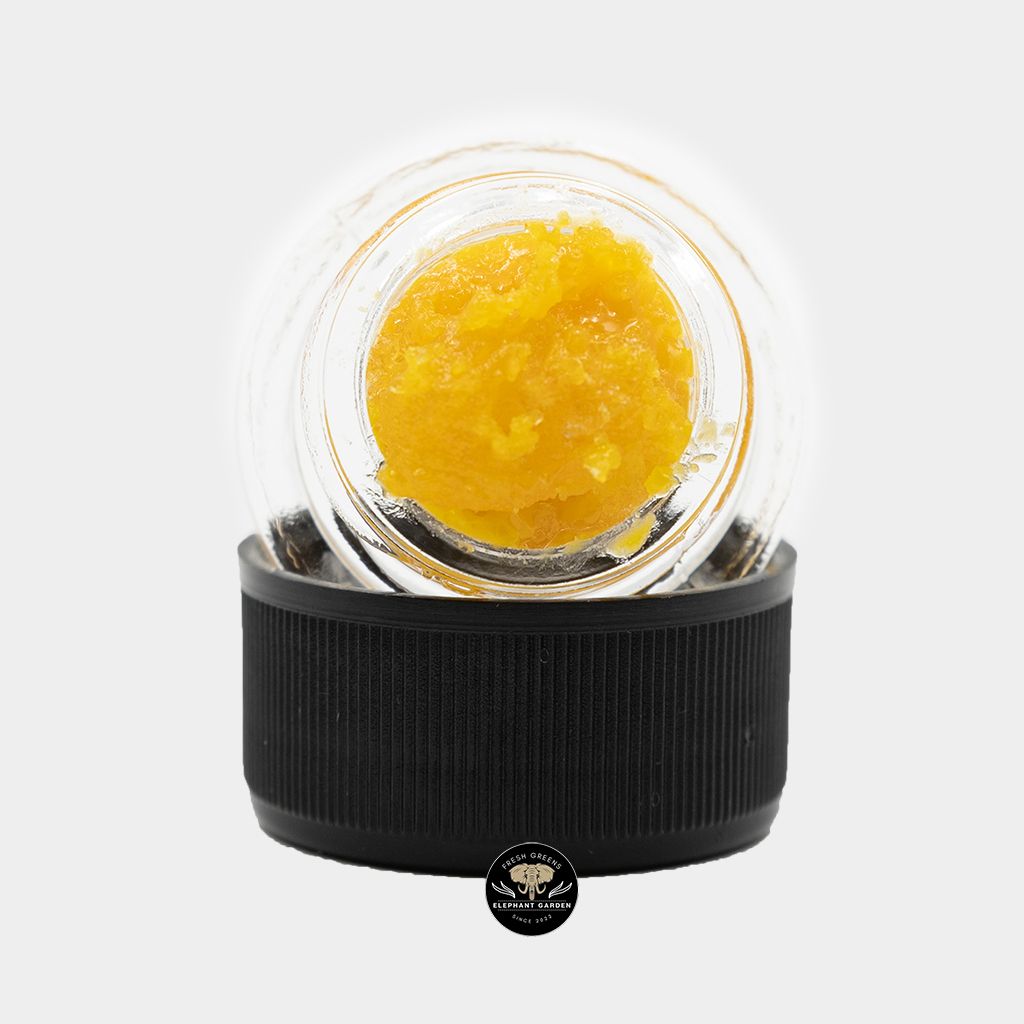 Mango Dream