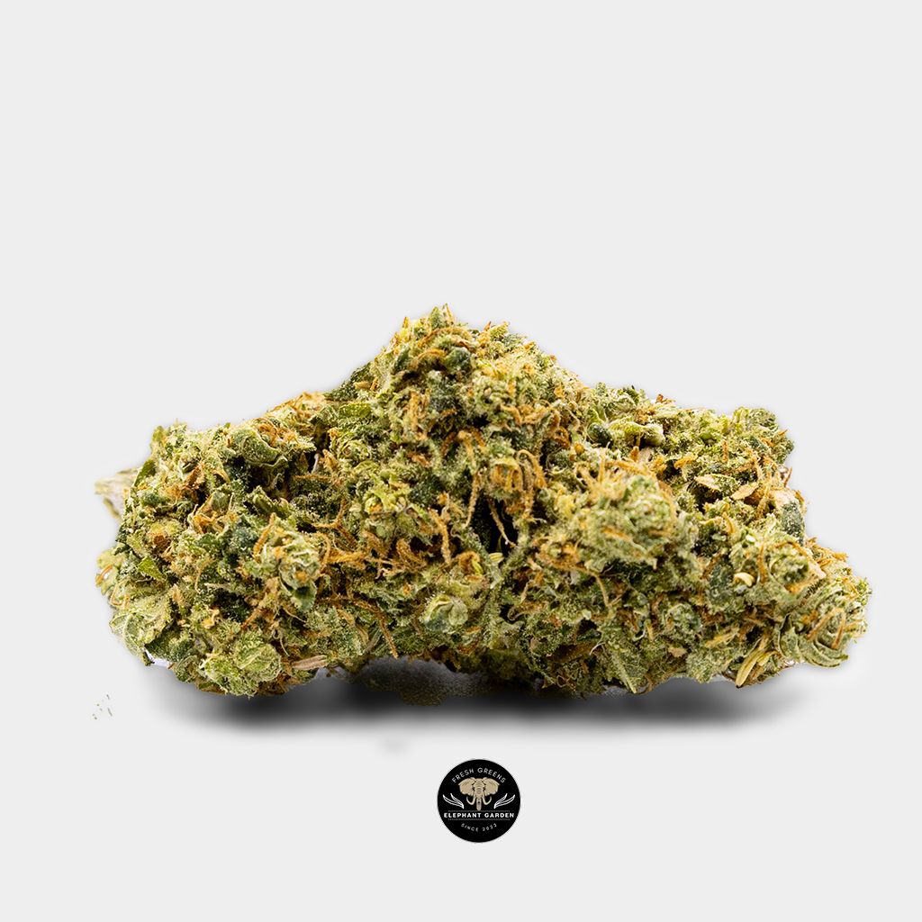 Buy Blue Dream at Elephant Garden Weed Dispensary Single 2
