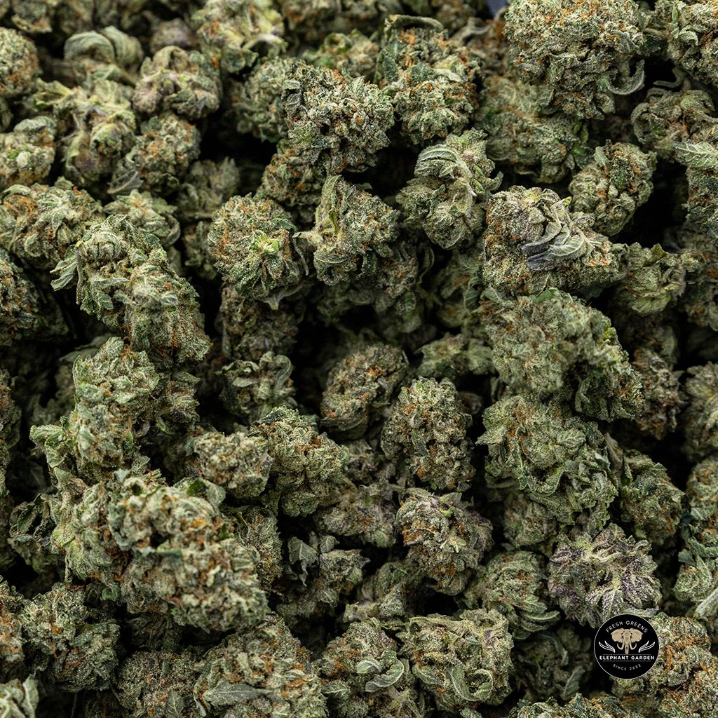 Buy Pink Tuna at Elephant Garden Co Weed Dispensary Online Bulk