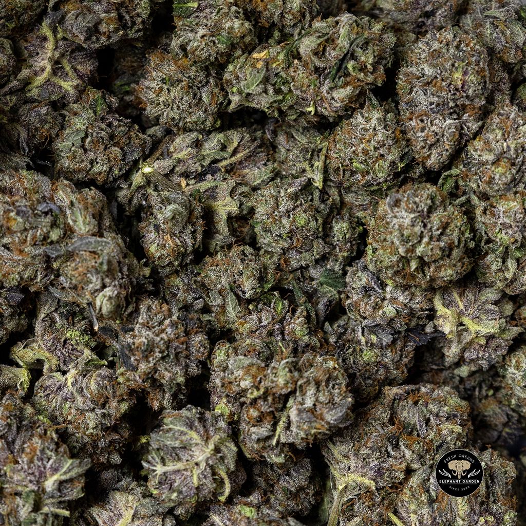 Buy Purple Octane at Elephant Garden Cannabis 2