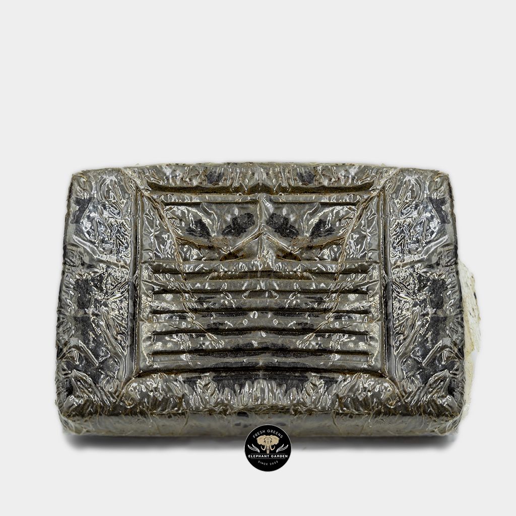 Buy Kashmir Hash At Elephant Garden Co Weed Dispensary