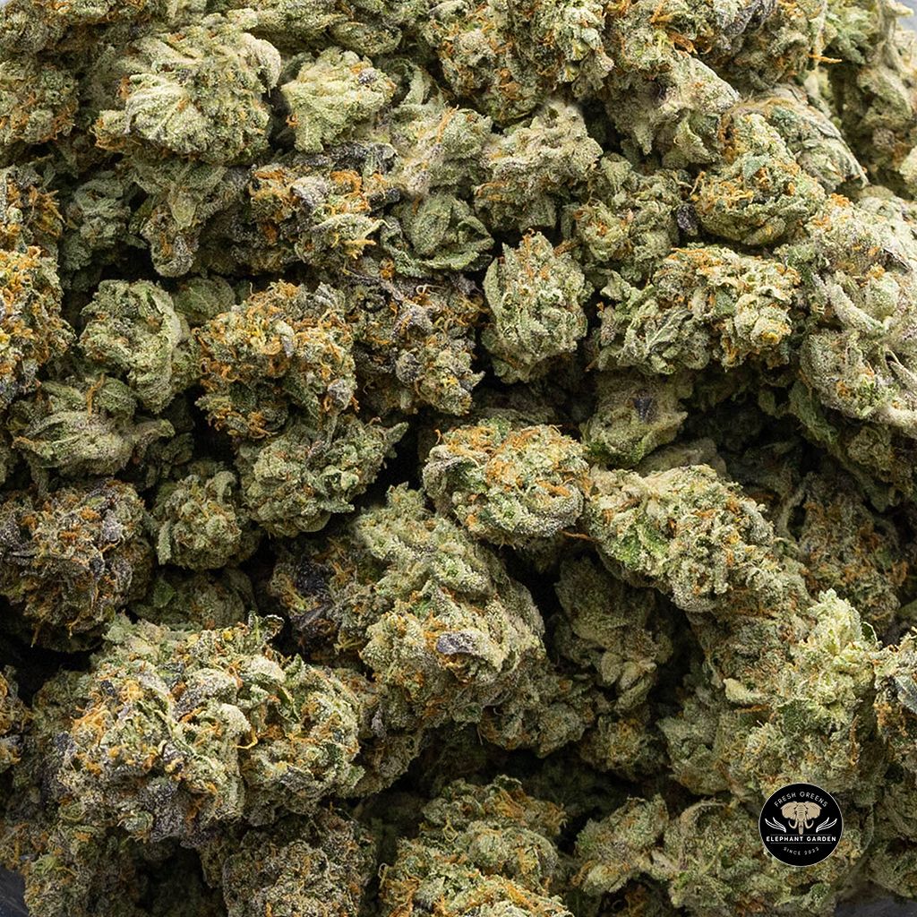 Grease Monkey (Bulk) - Indica - AAA