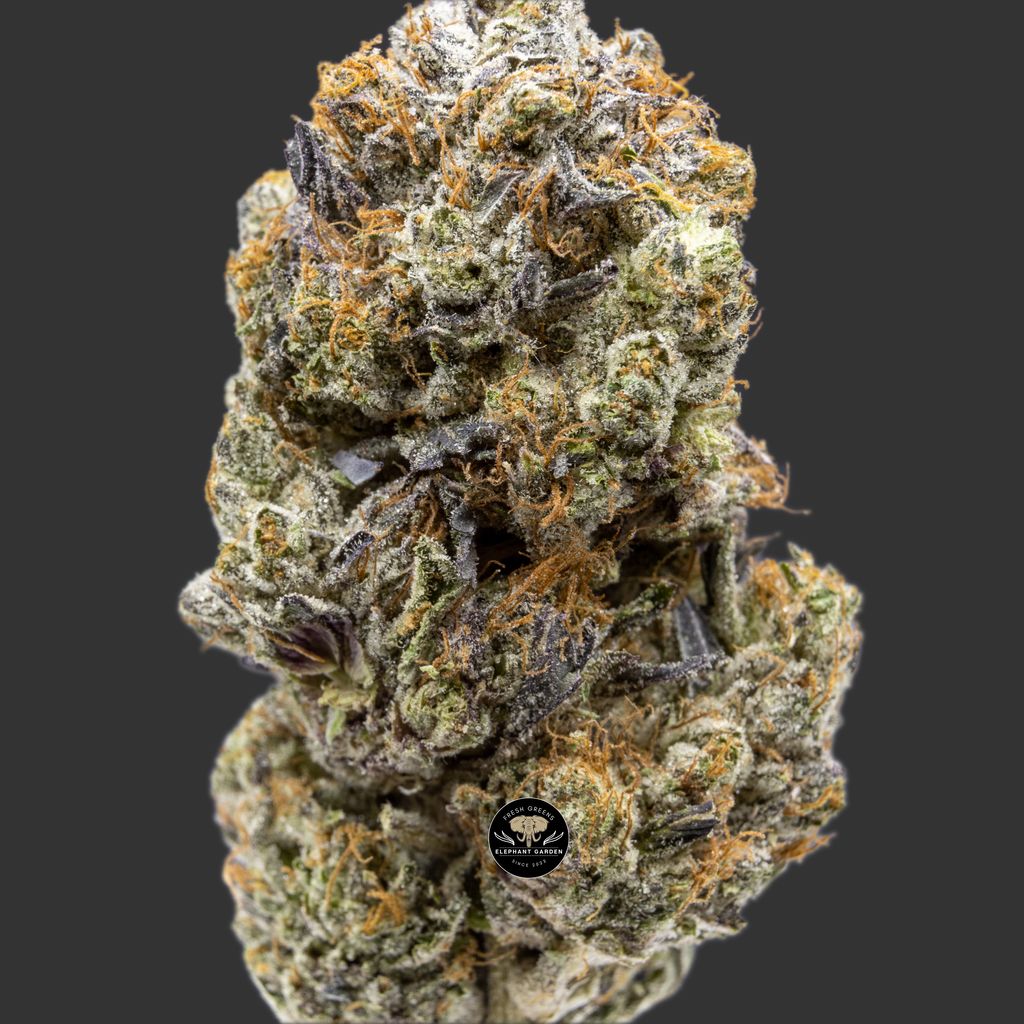 Buy Death Bubba at Elephant Garden Co Weed Dispensary Online Canada Close 6.1.2023
