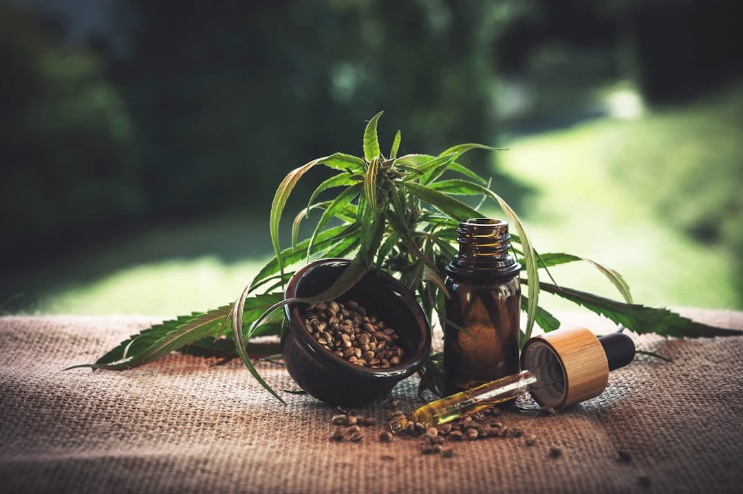 Lush green cannabis plant showing terpene-rich leaves and natural compounds