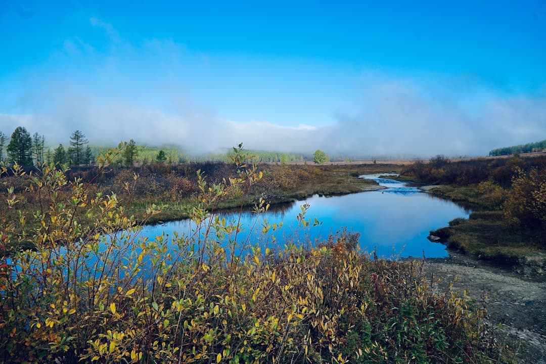 Tranquil river flowing through a misty autumn forest landscape similar to the Kennebecasis Valley