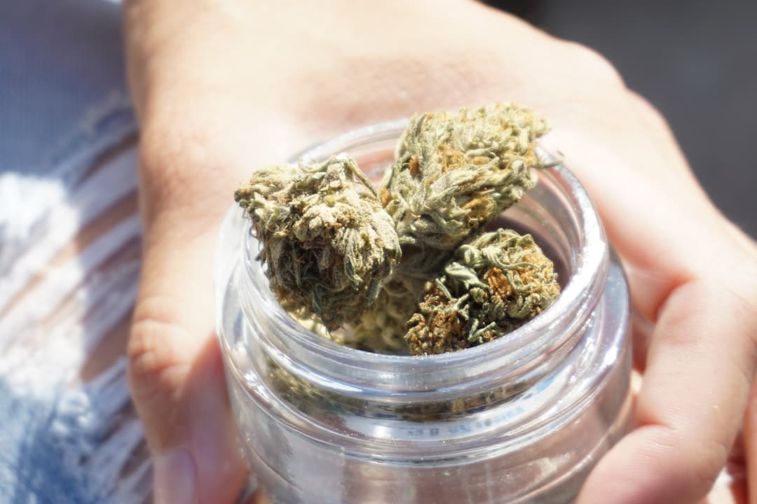 Premium BC craft cannabis flower in a sealed glass jar ready for Quispamsis delivery