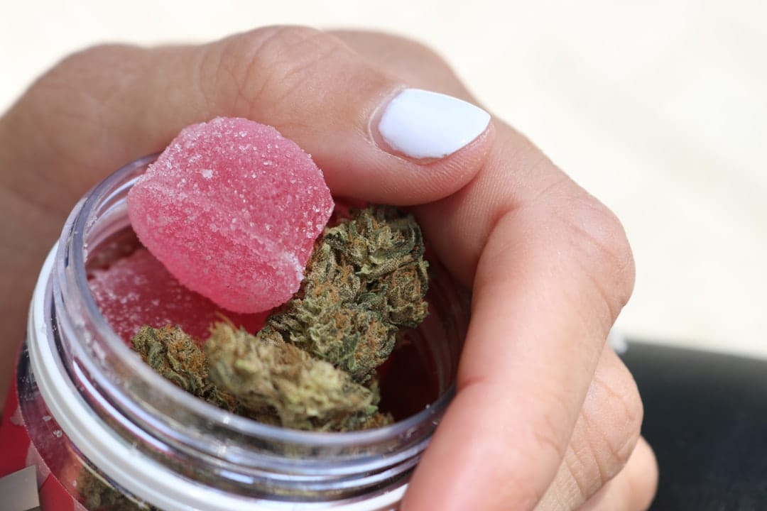 Hand holding a small bowl of cannabis edible gummies showing proper edible dosing portions