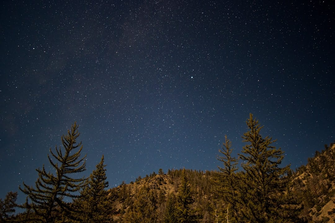 Starry night sky above a peaceful forested mountain landscape