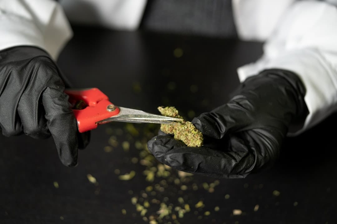 Person handling cannabis concentrate extraction tools for live resin and rosin production