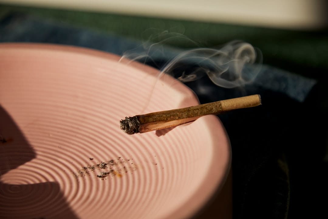A perfectly rolled pre-roll joint on a ceramic plate