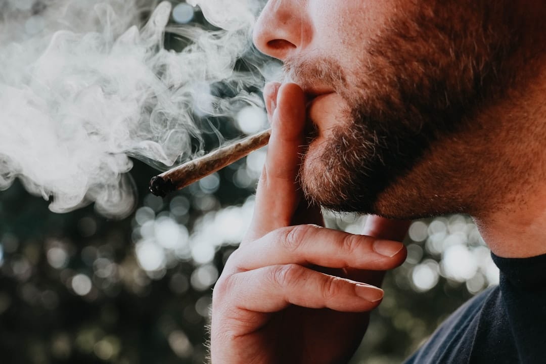 Kief-coated cannabis pre-roll joint ready to smoke