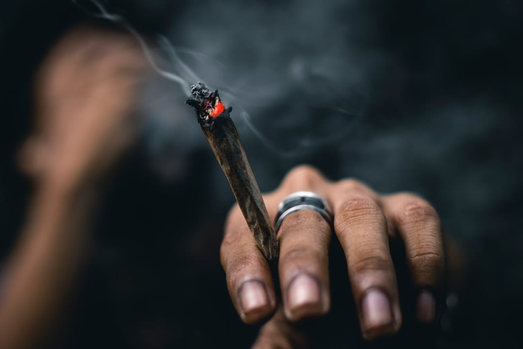 Person holding a rolled joint made from ground cannabis flower perfect for popcorn buds