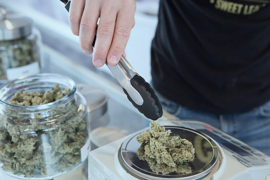 Cannabis bud held with tongs showing trichome coverage and quality grading