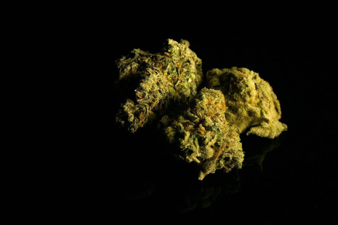 Motor Breath Popcorn AAA+ cannabis buds dense indica flower