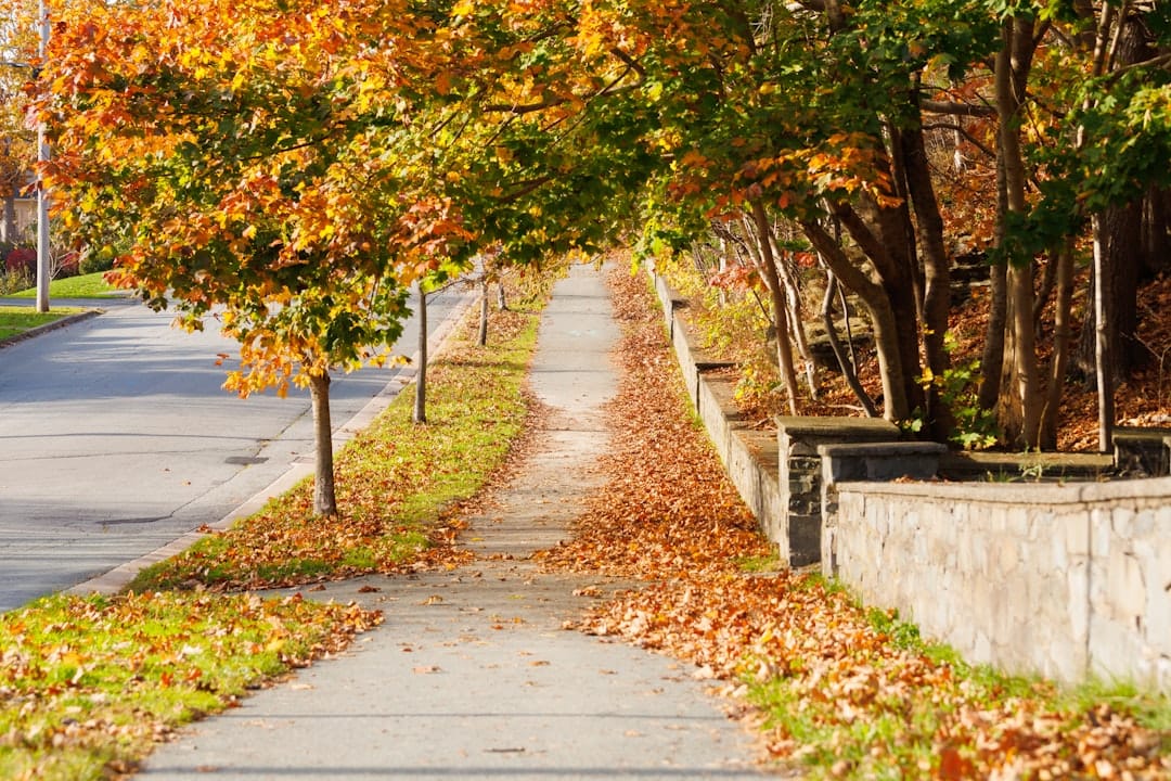 Tree-lined suburban Kanata Ontario street where Elephant Garden delivers cannabis