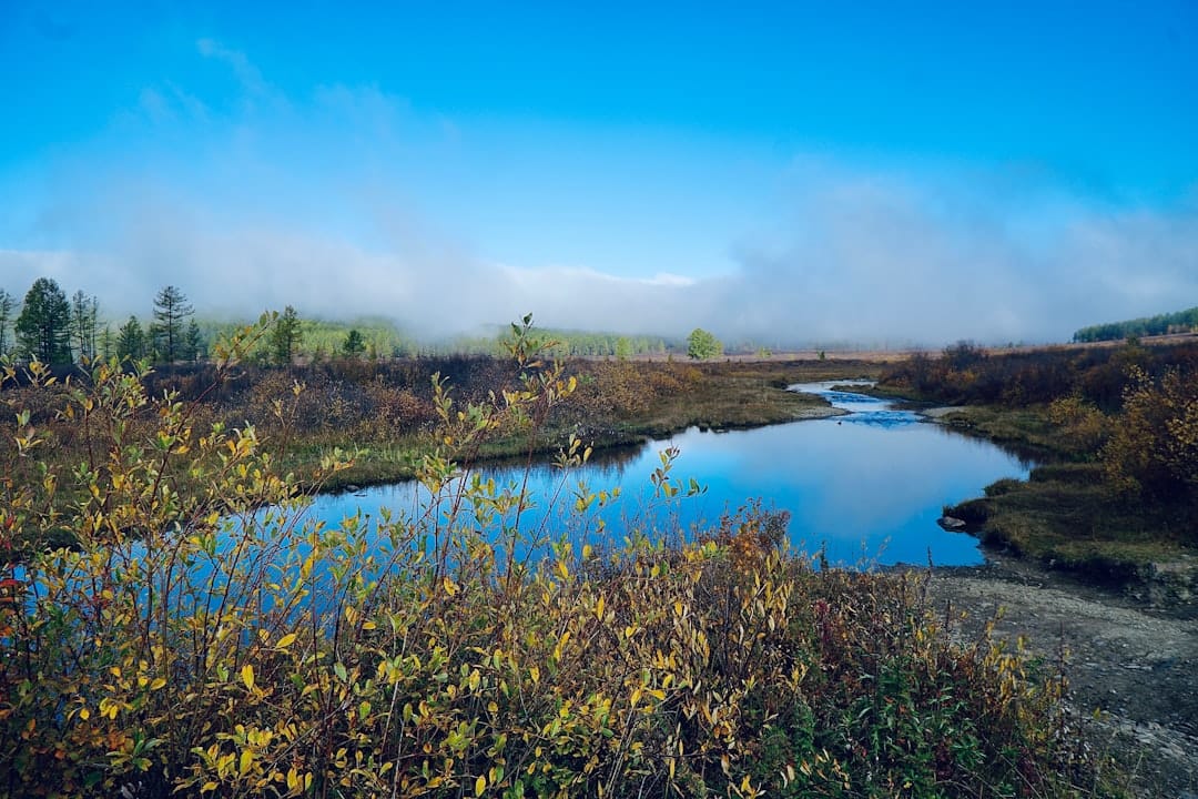 Tranquil river flowing through a misty autumn forest landscape similar to the Kennebecasis Valley