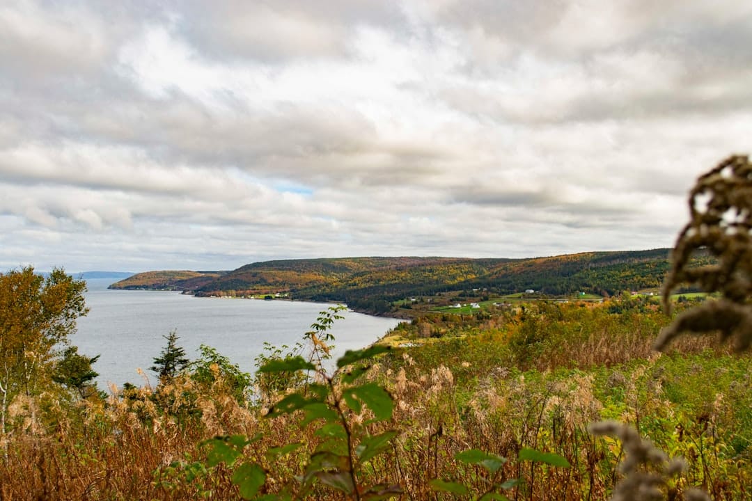Aerial photo of the Bras dOr Lake in Cape Breton, Nova Scotia, near Baddeck