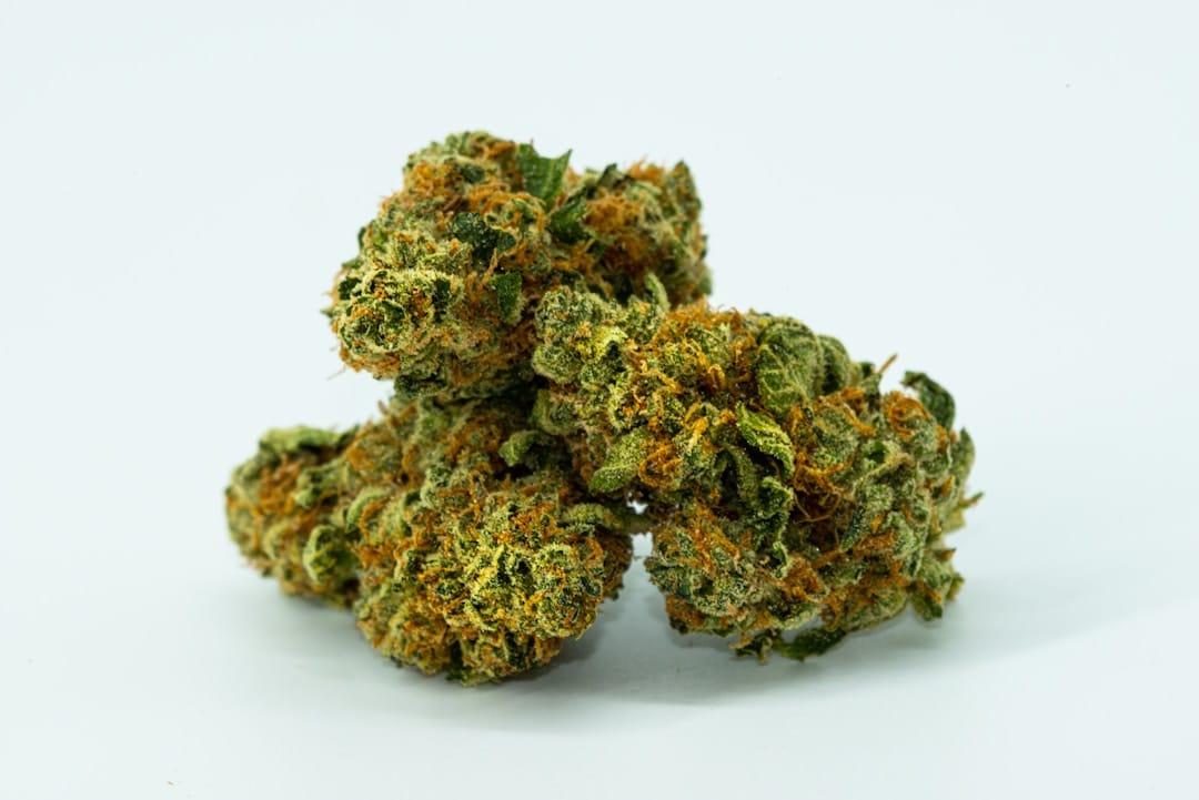 Dense indica cannabis flower buds similar to Coastal Pink AAAA- strain