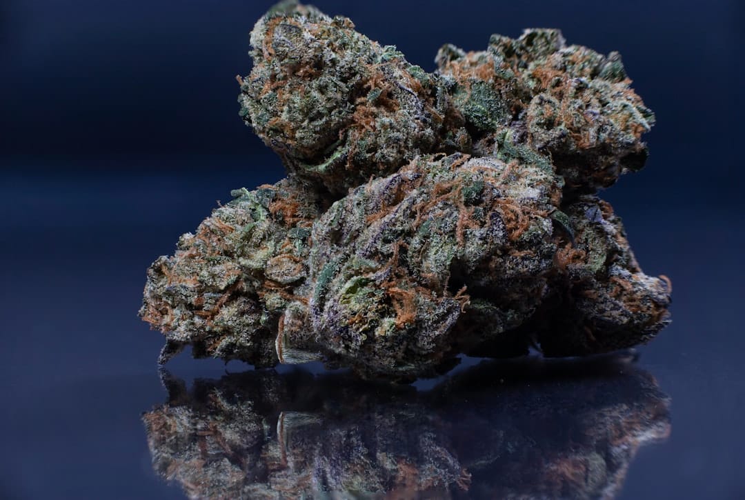 Cannabis flower buds close-up showing trichomes available for delivery in Burlington Ontario