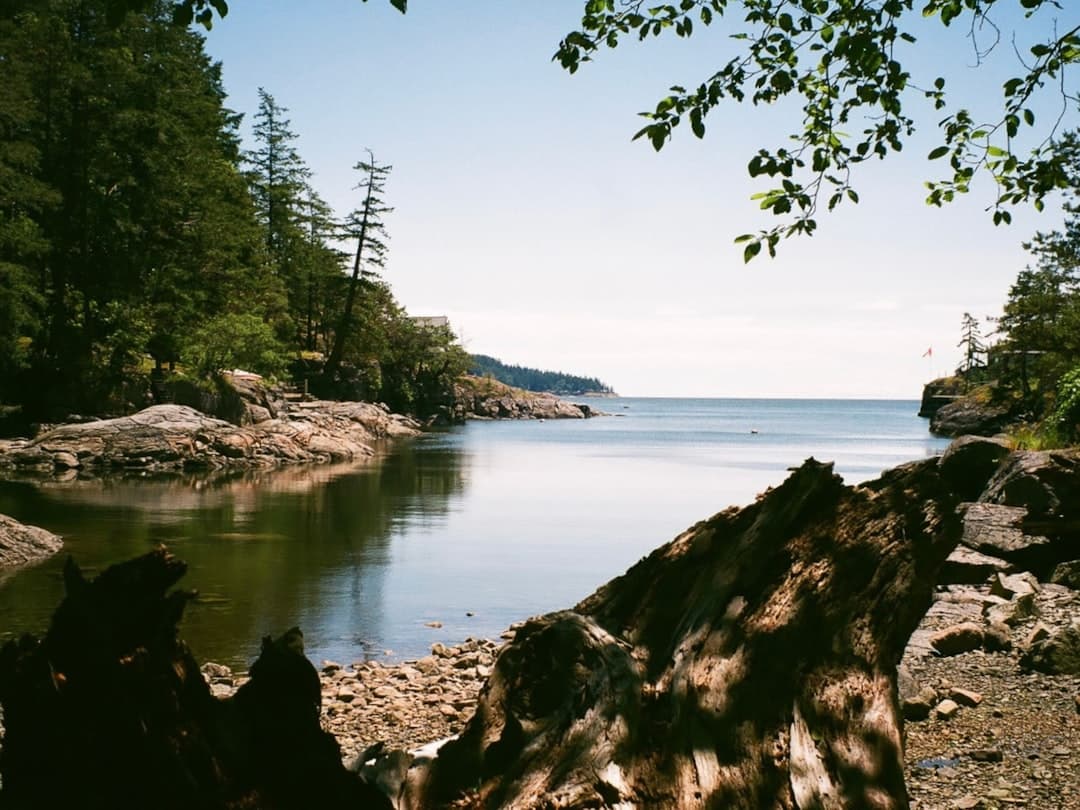 Rocky Maritime coastline with trees and water near Quispamsis New Brunswick