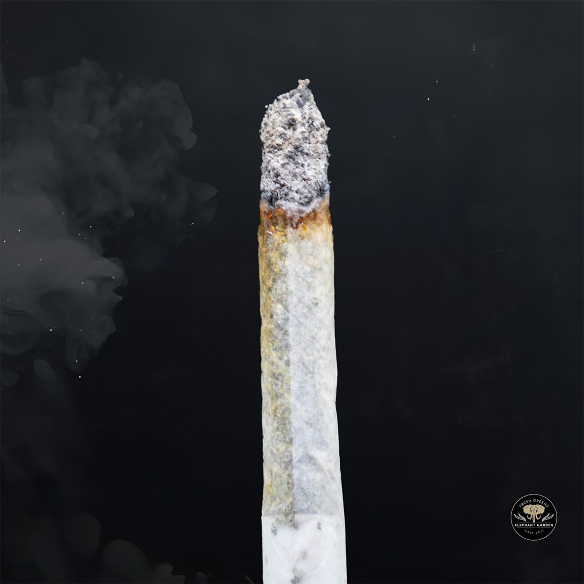 Buy Rockstar Tuna at Elephant Garden Co Weed Dispensary Burn 5 15 25