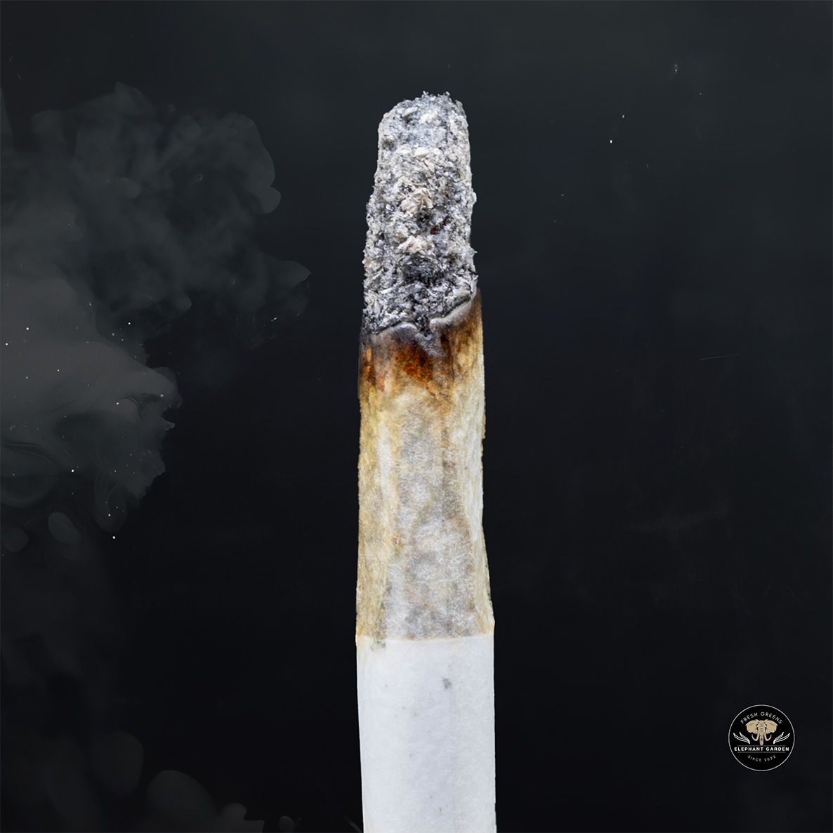 Buy Cookie Dough at Elephant Garden Co Weed Dispensary Burn 1 23 25