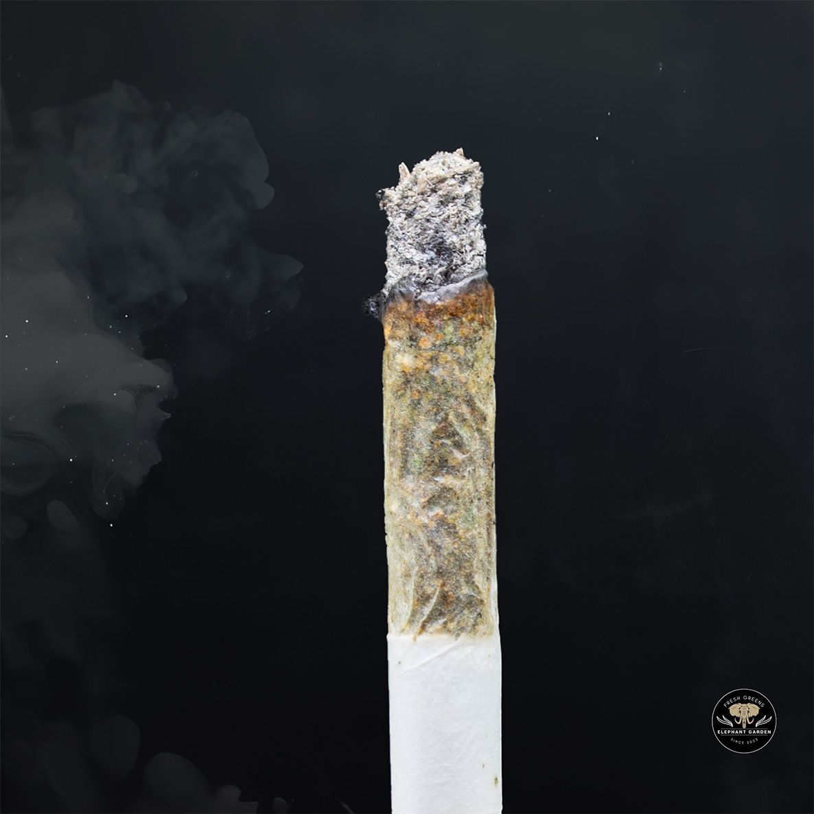Buy Black Gas at Elephant Garden Co Weed Dispensary Burn 5 15 25 2