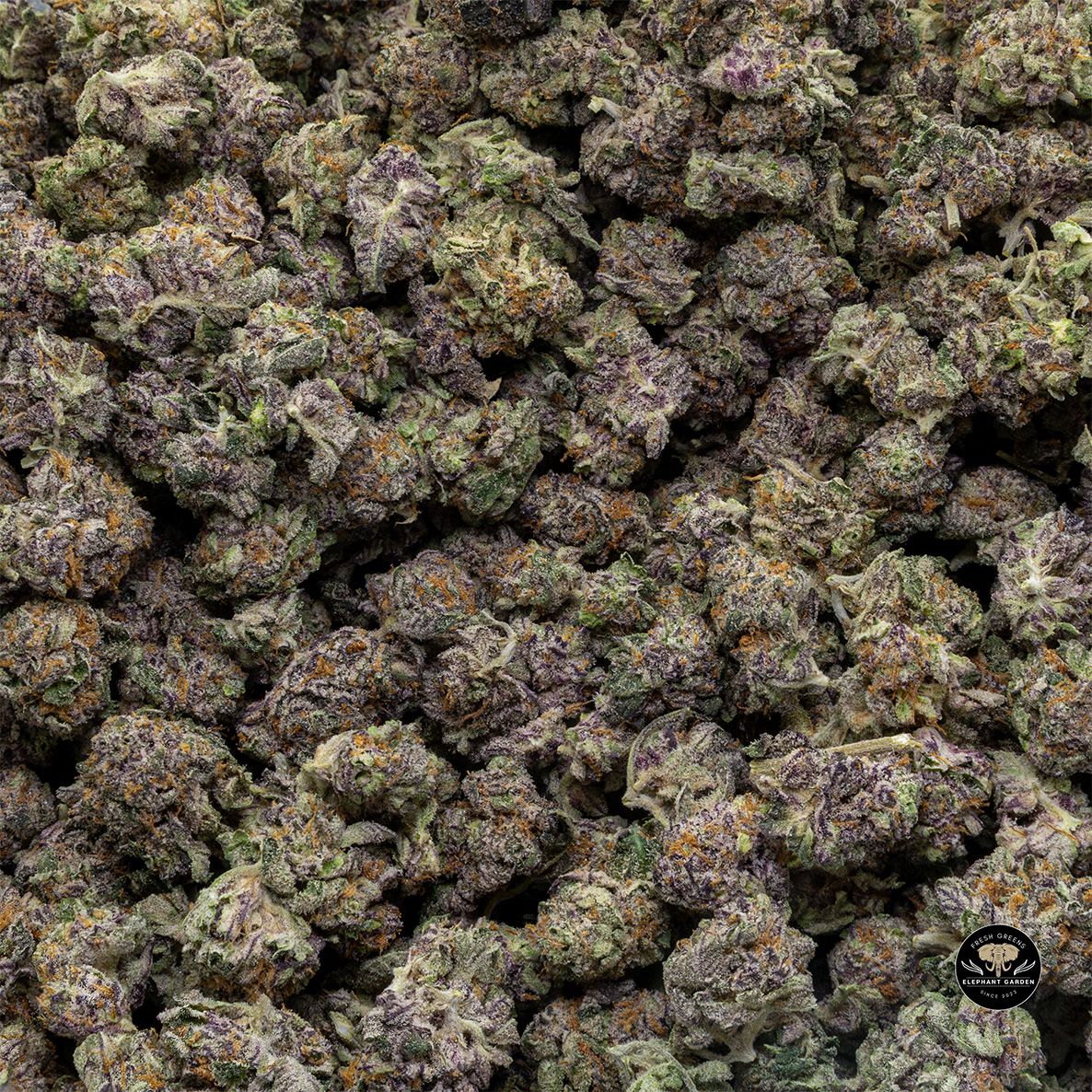 Buy Cherry Gelato at Elephant Garden Co Weed Dispensary Float 5 15 25 2