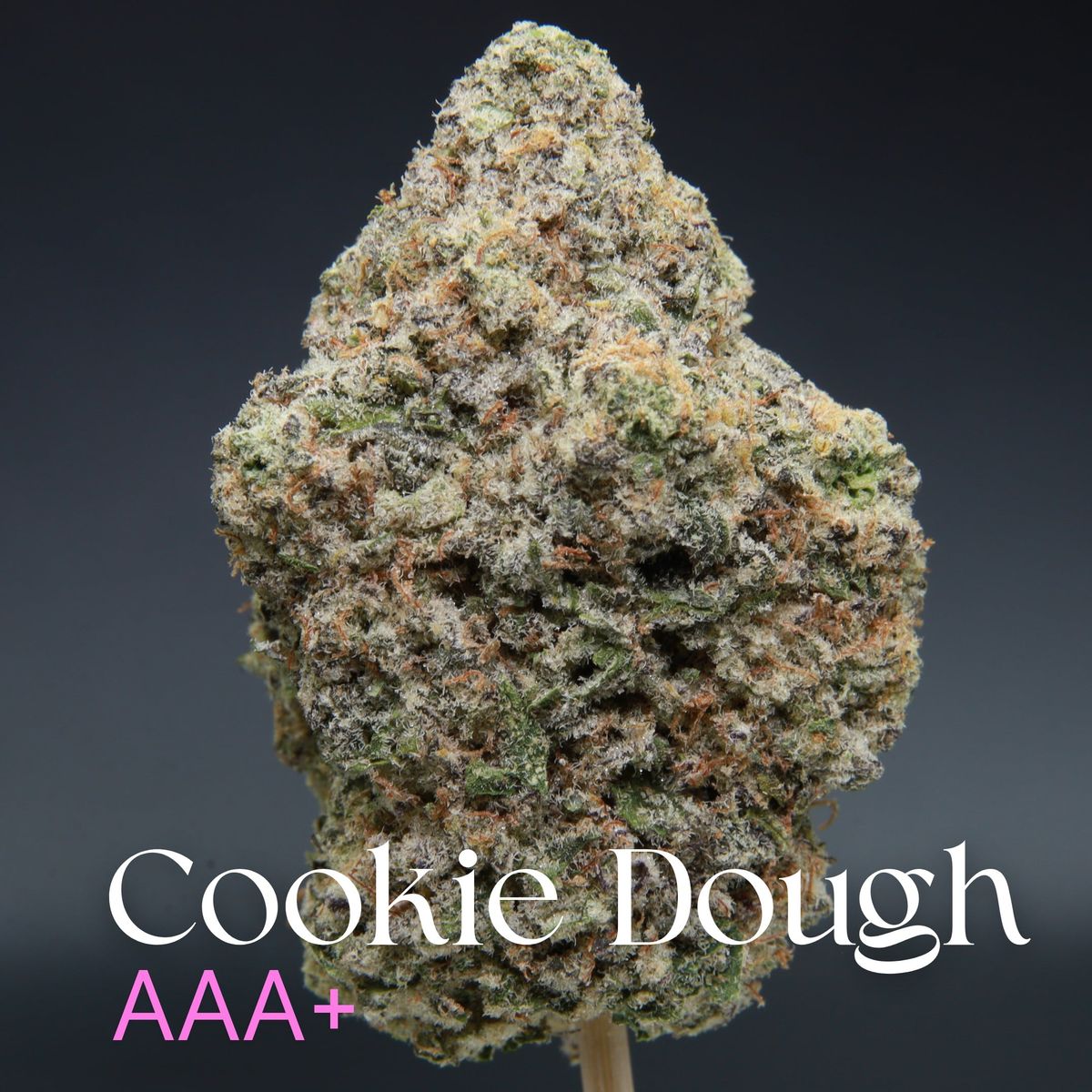 Cookie Dough AAA+