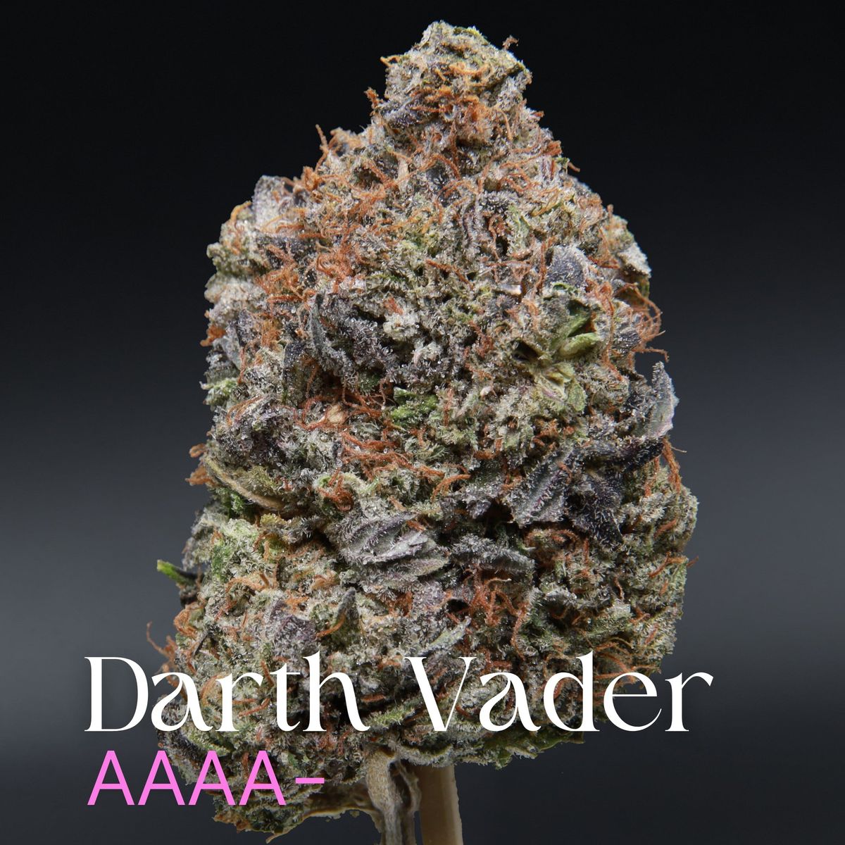 Darth Vader AAAA-