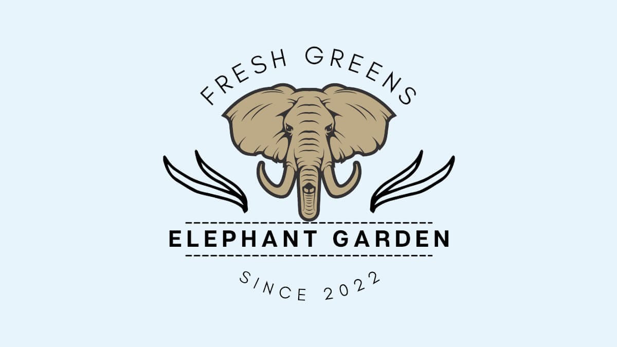 Buy Weed Online Canada | Elephant Garden