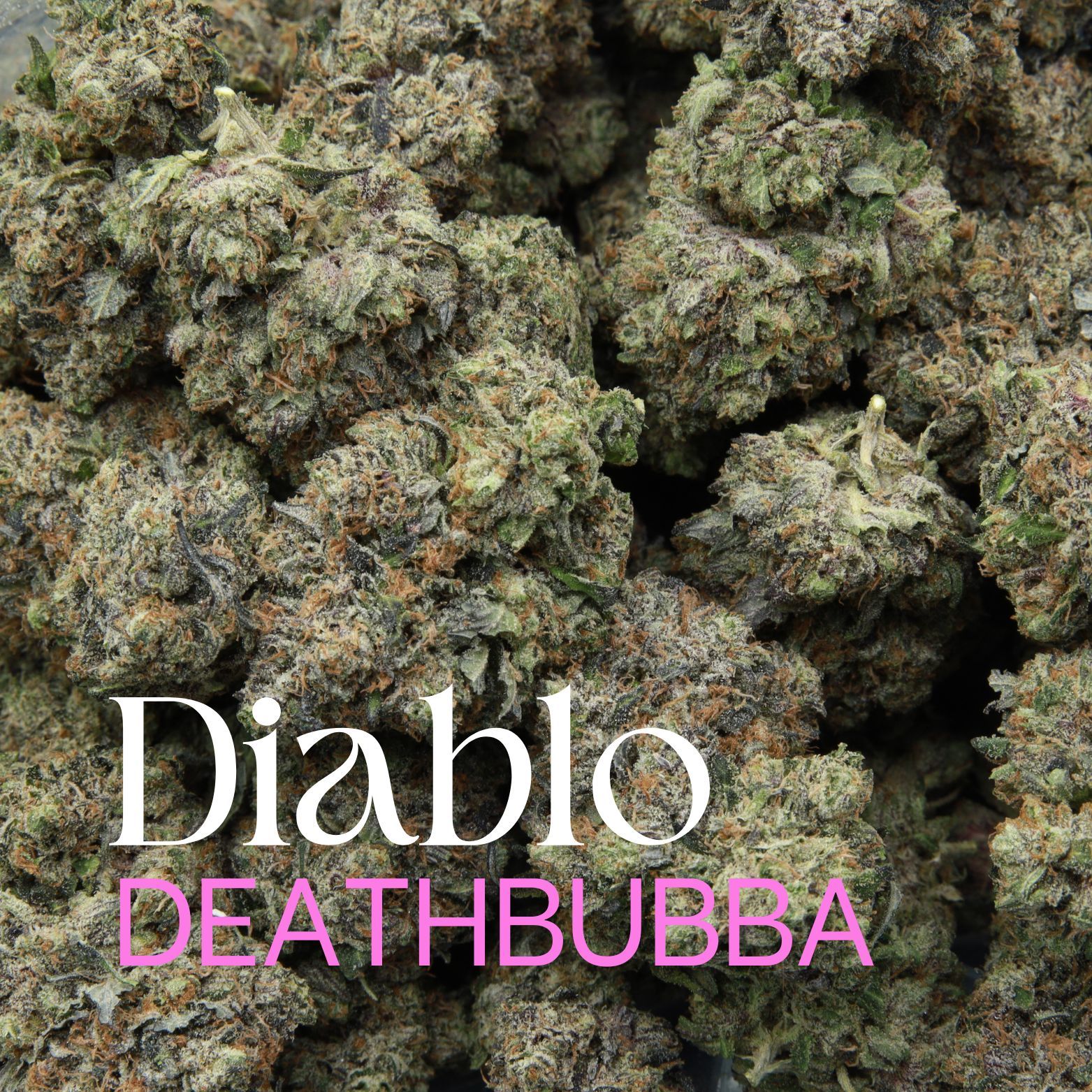 Buy a bag of Canadian weed Diablo Deathbubba from Elephant Garden co