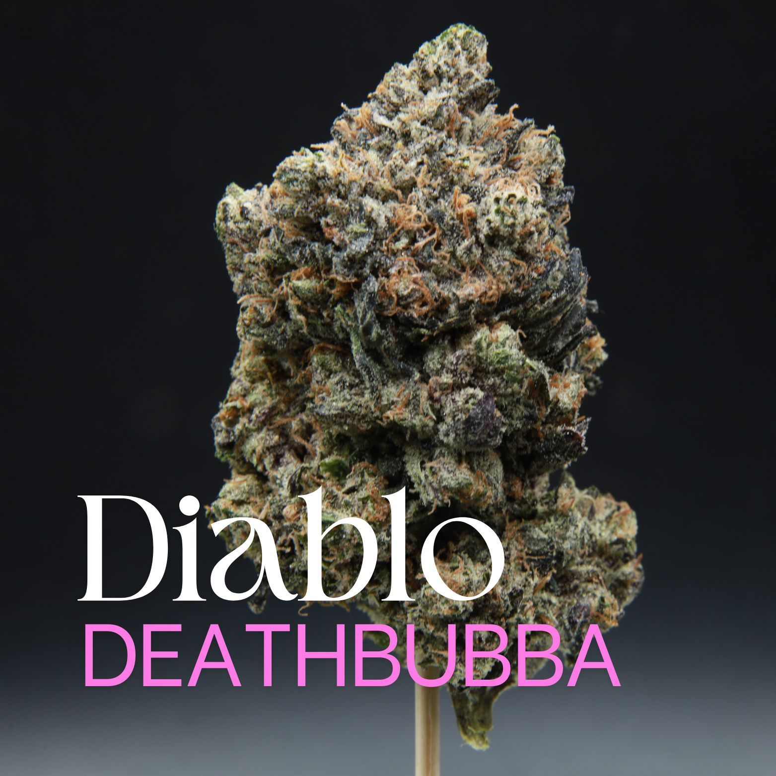 Buy Canadian weed Diablo Deathbubba Bud from Elephant Garden
