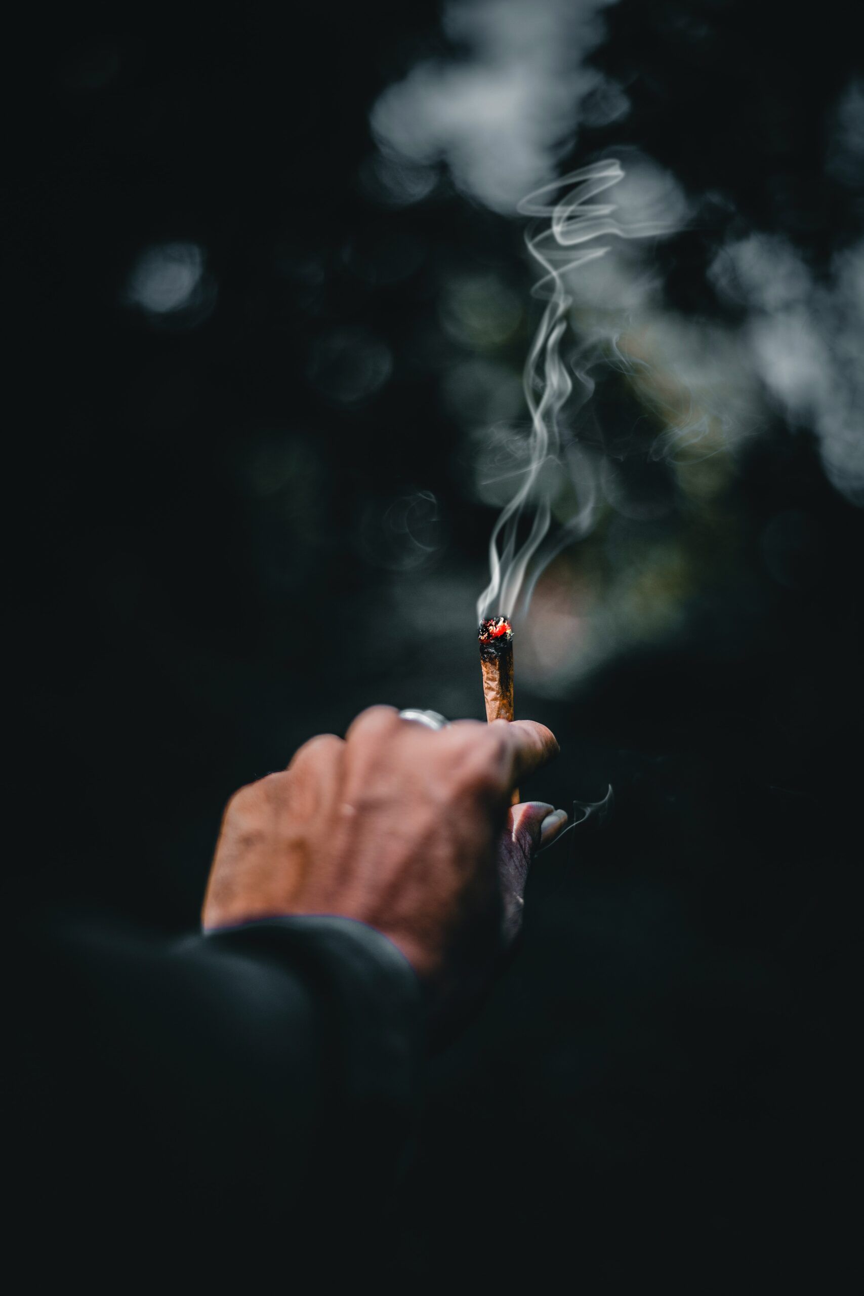 Understanding THC and its Effects on the Body at Elephant Garden Co Weed Dispensary