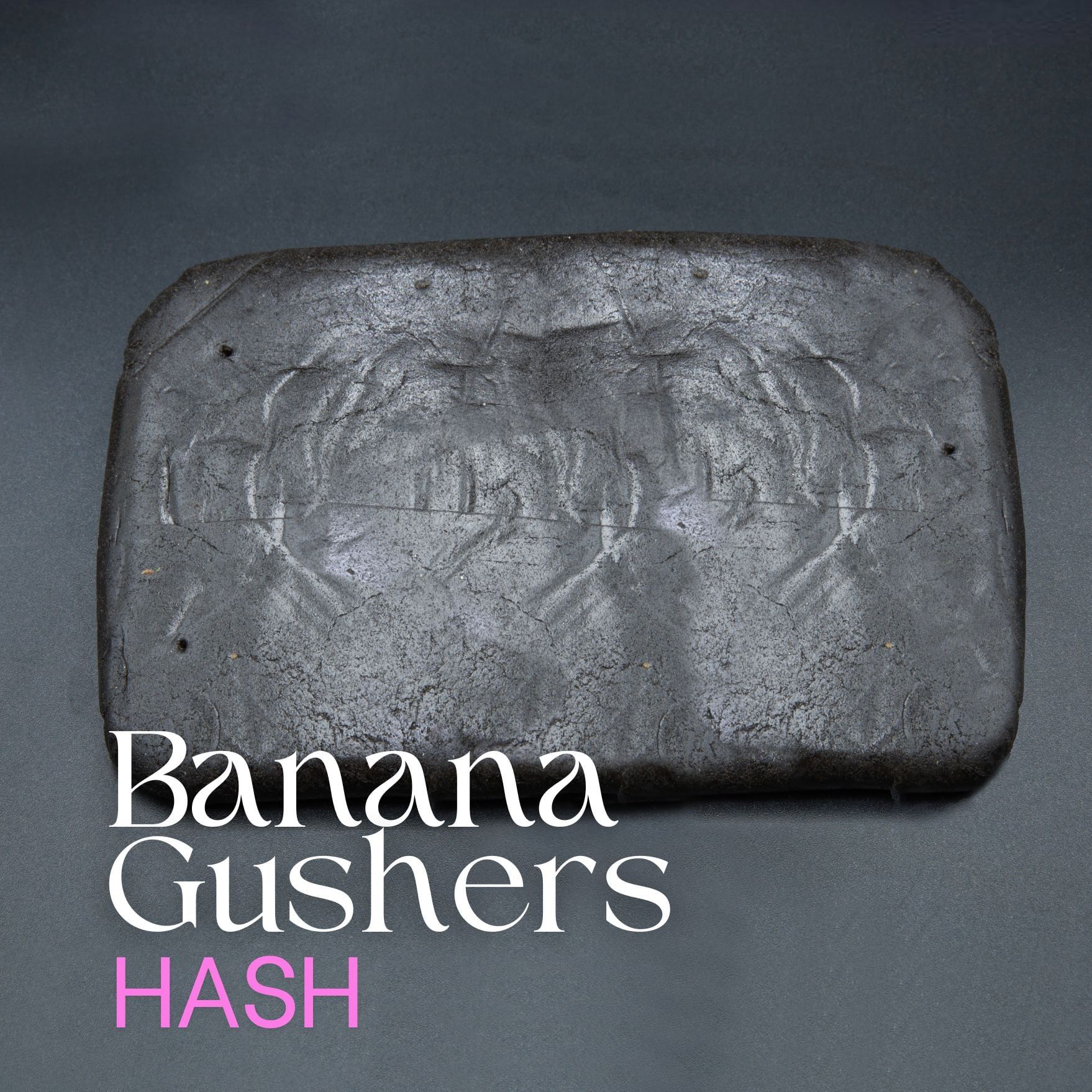 Banana Gushers Hash elephant garden