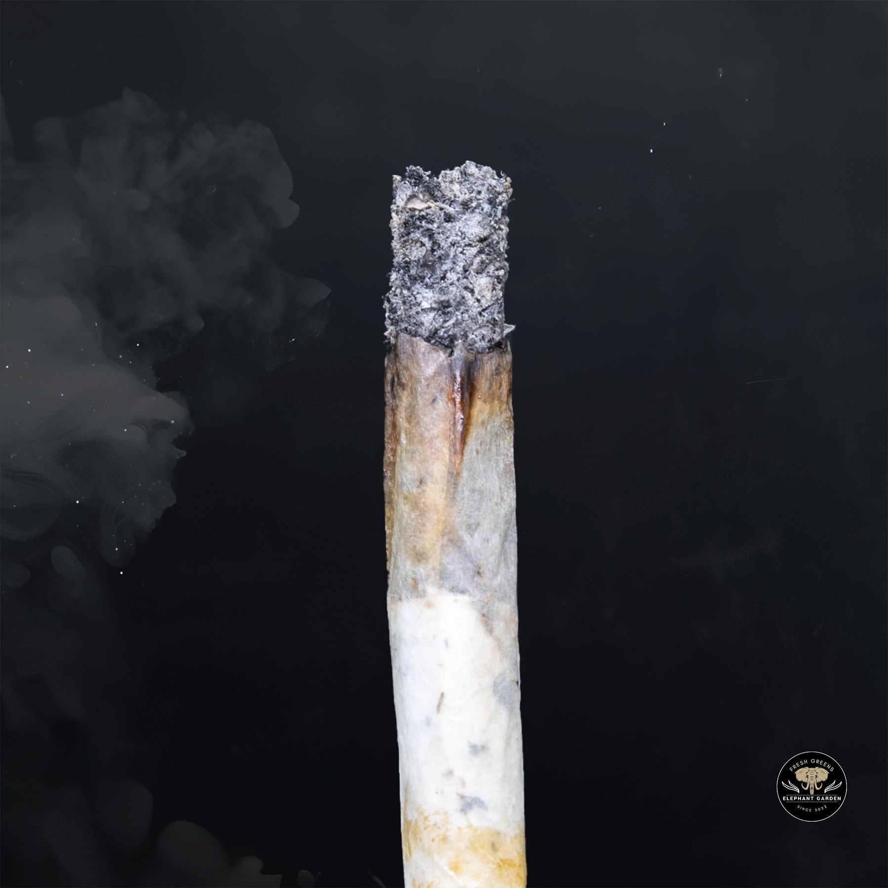 Buy Black Cherry Punch at Elephant Garden Co Weed Dispensary Burn 1 23 25