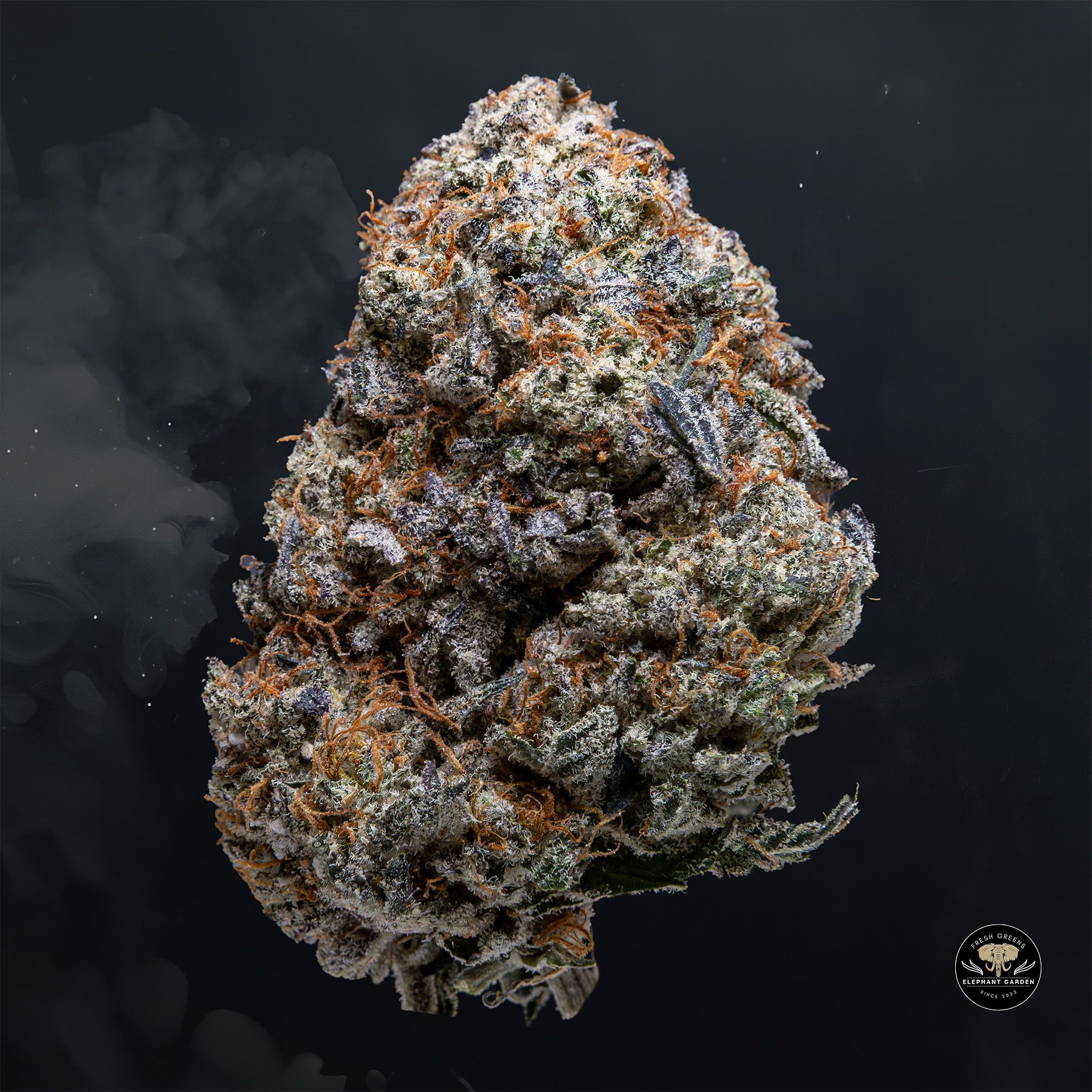 Buy Black Ice at Elephant Garden Co Weed Dispensary Float 1 23 24 2