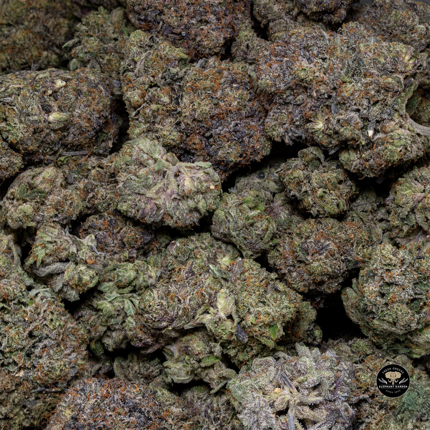 Buy Death Walker at Elephant Garden Co Weed Dispensary Bulk 3 6 25