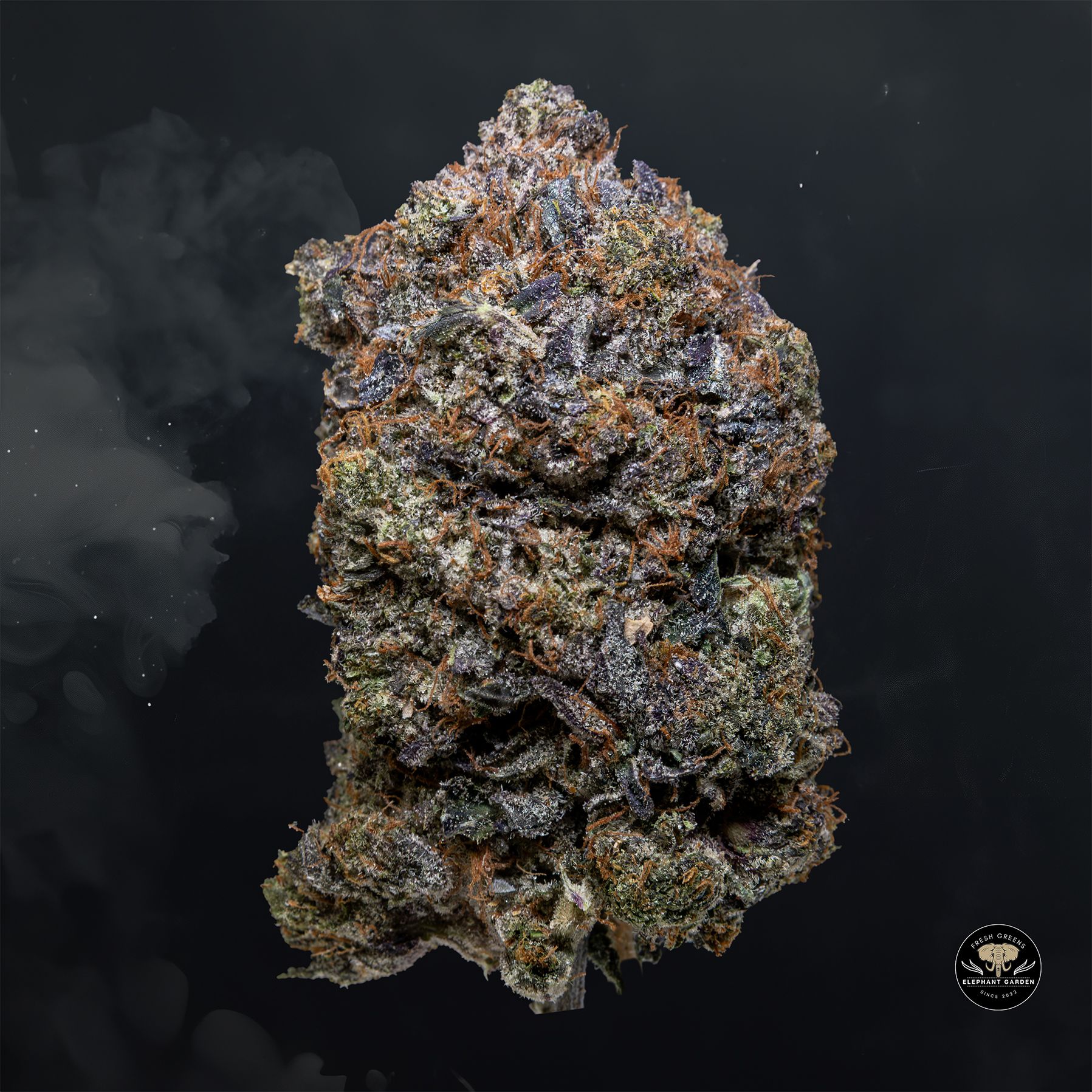 Buy Death Walker at Elephant Garden Co Weed Dispensary Float 3 11 25 2