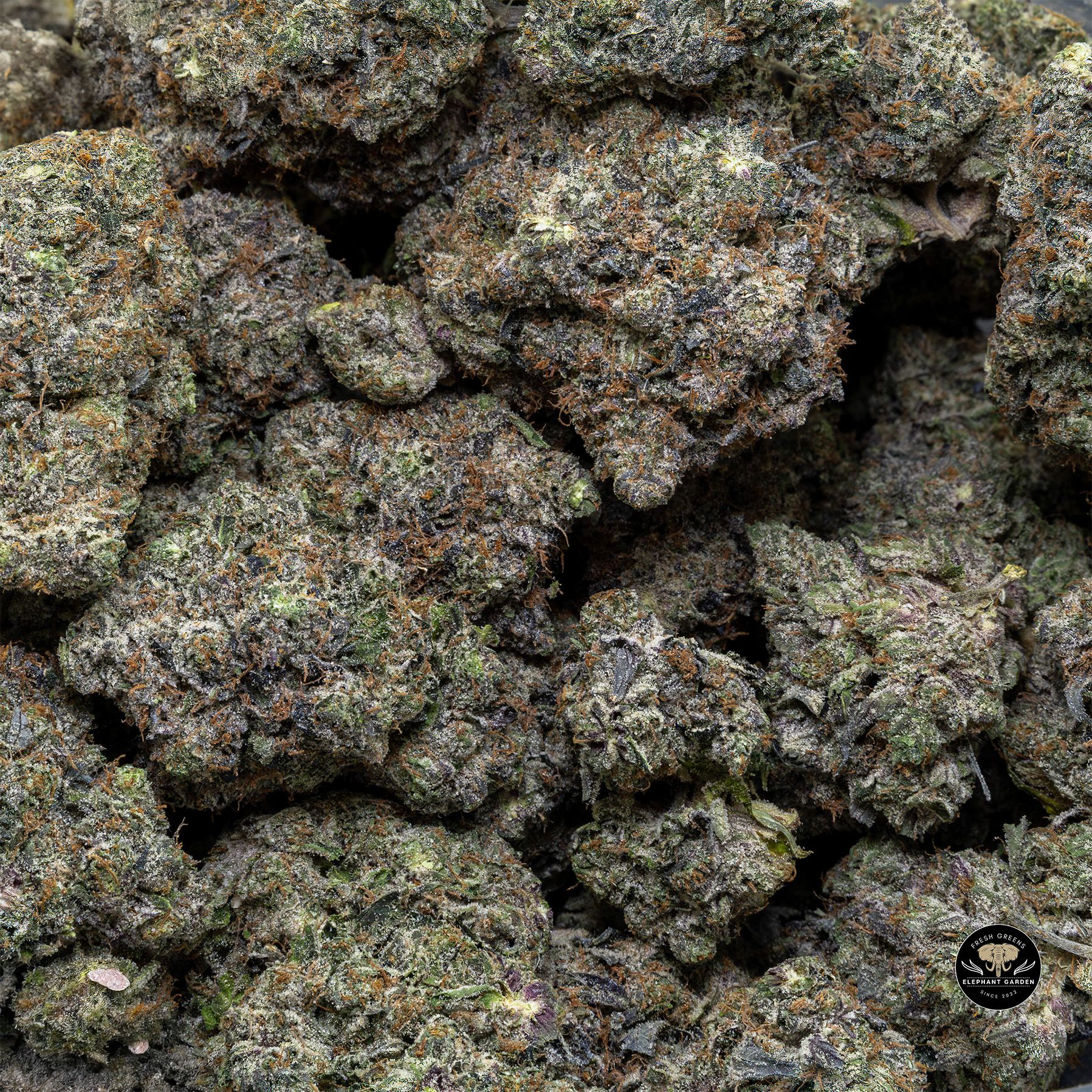 Buy Mike Tyson at Elephant Garden Co Weed Dispensary Bulk 1 28 25