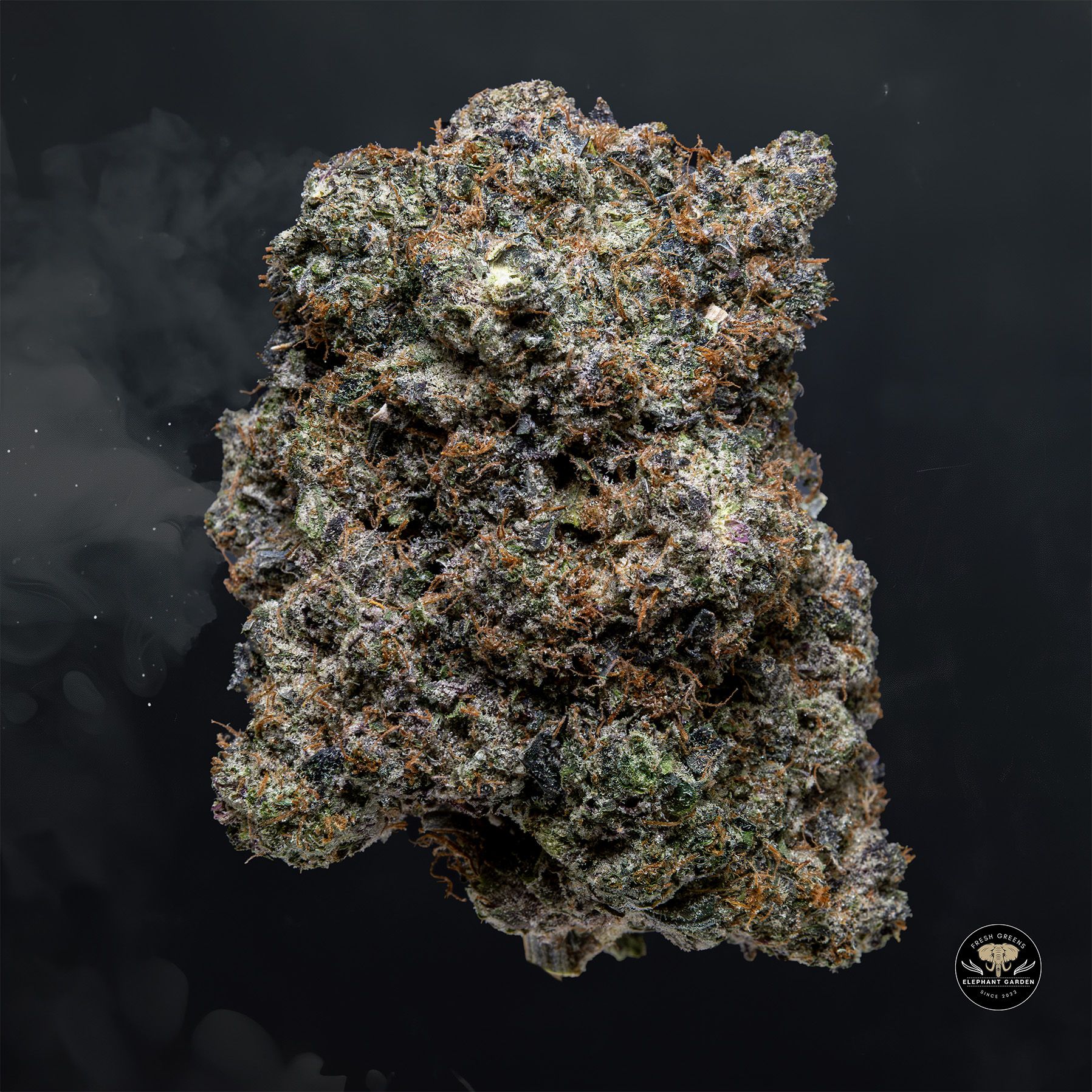 Buy Mike Tyson at Elephant Garden Co Weed Dispensary Float 1 23 24 2
