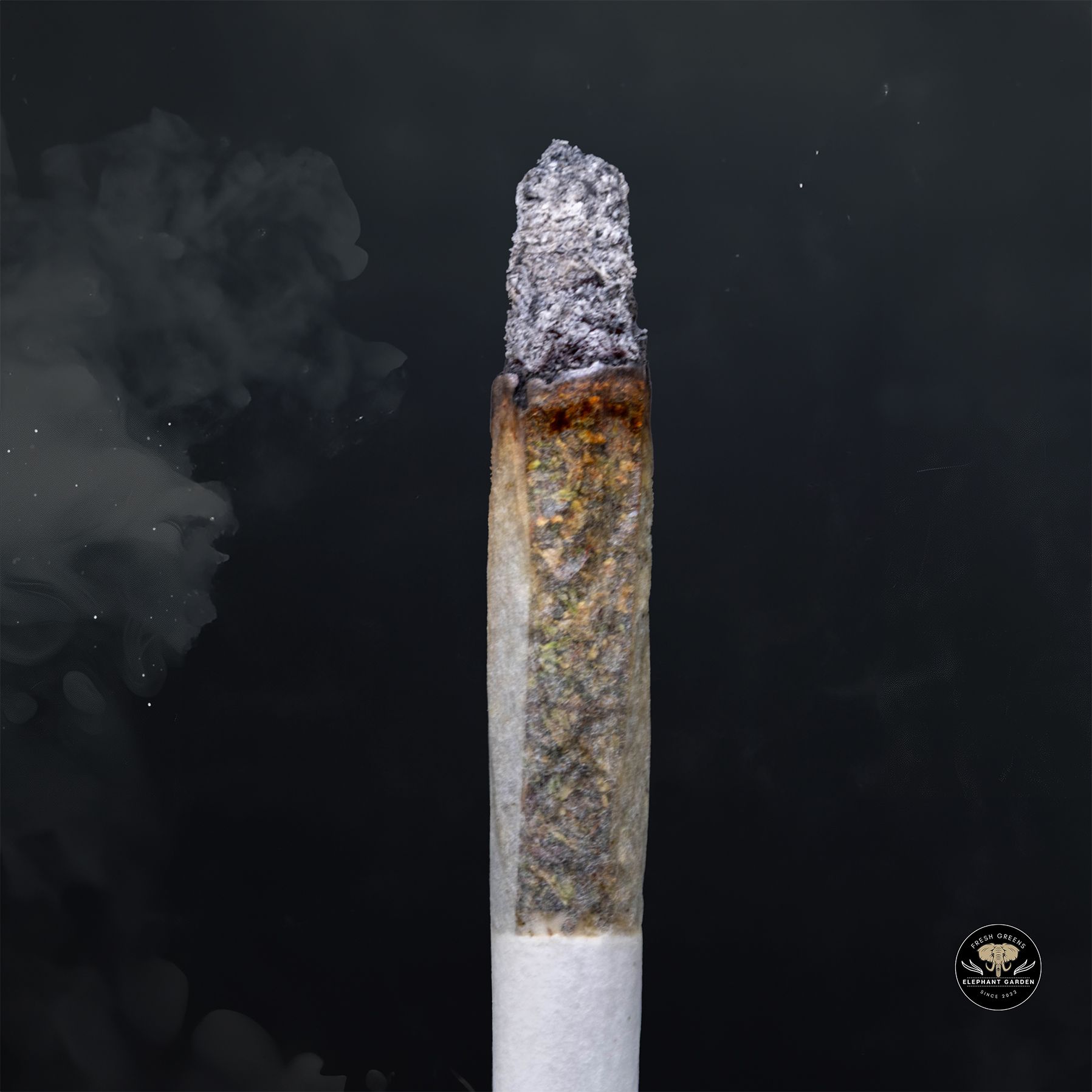 Bluefin Tuna (Bulk) - Indica - AAA+ - Image 2