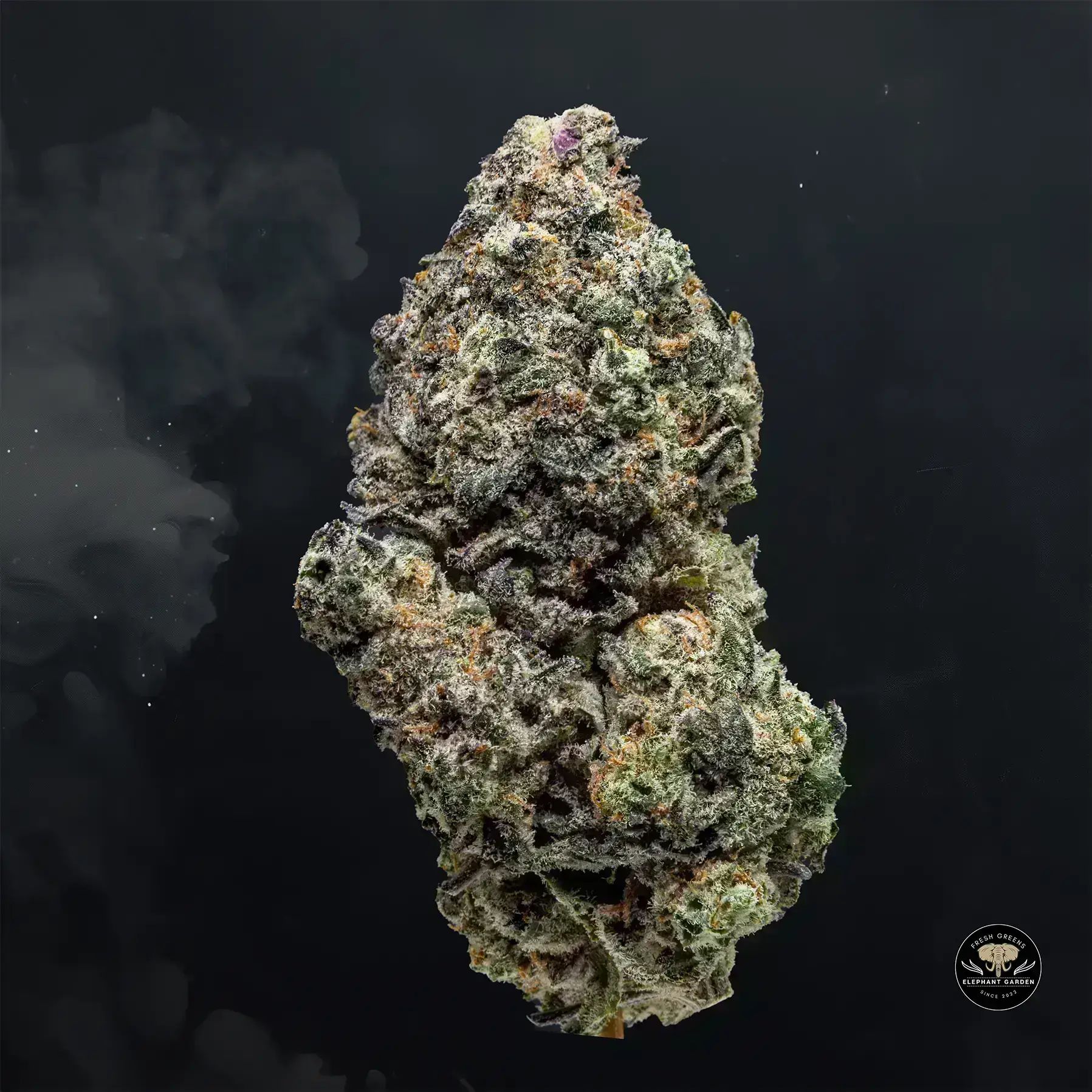 Buy Grape Punch at Elephant Garden Co Weed Dispensary Float 11 13 24 4