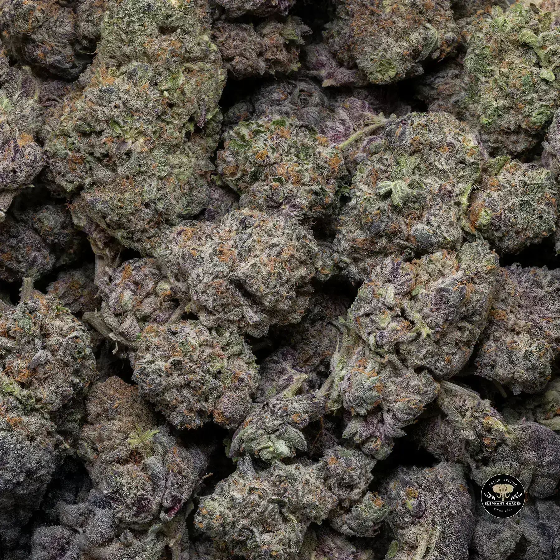 Buy Flue Glue at Elephant Garden Co Weed Dispensary Bulk 1 28 25