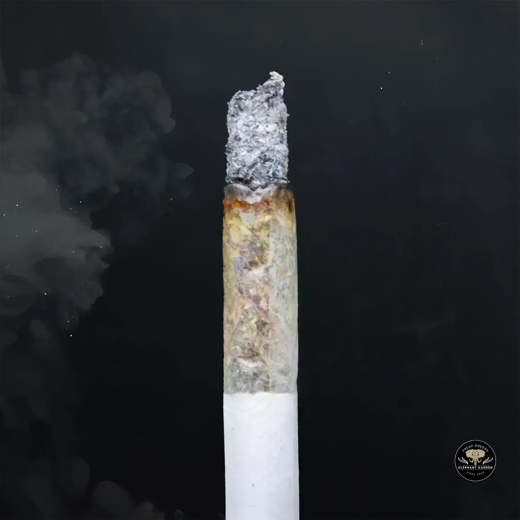 Buy Flue Glue at Elephant Garden Co Weed Dispensary Burn 1 23 25