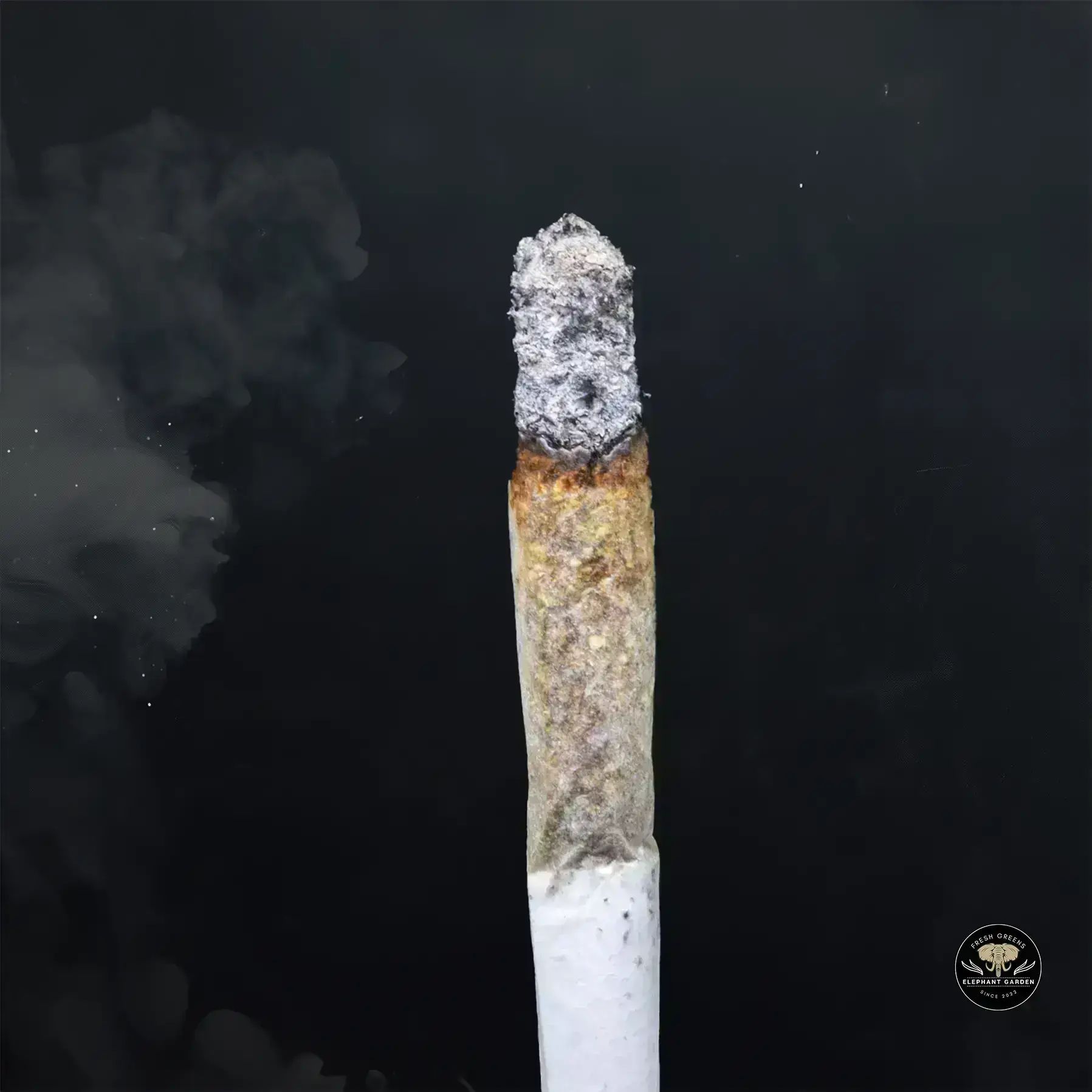 Buy Pink Payton at Elephant Garden Co Weed Dispensary Float 1 23 24 2