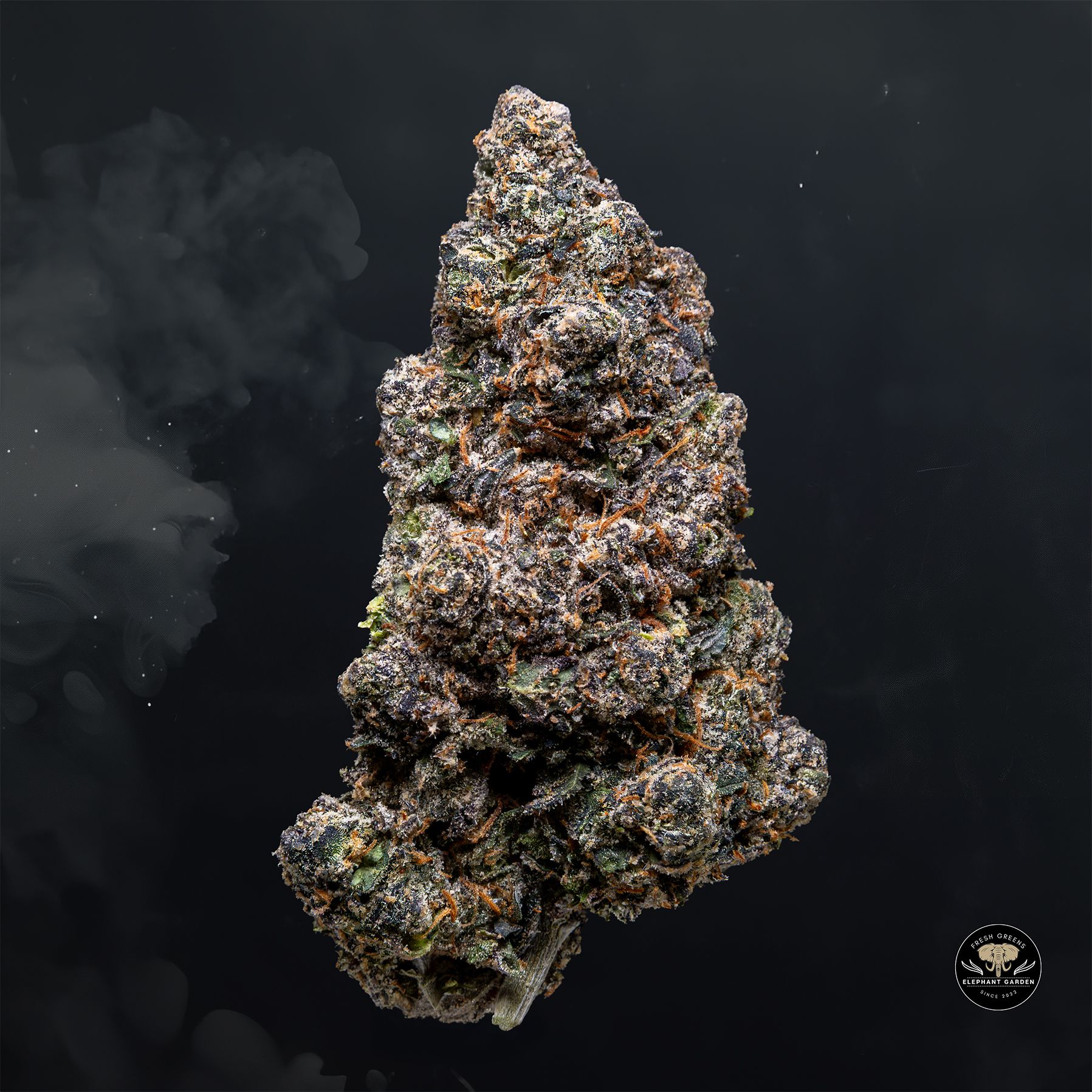 Buy Black Cherry Soda at Elephant Garden Co Weed Dispensary Float 3 11 25 2