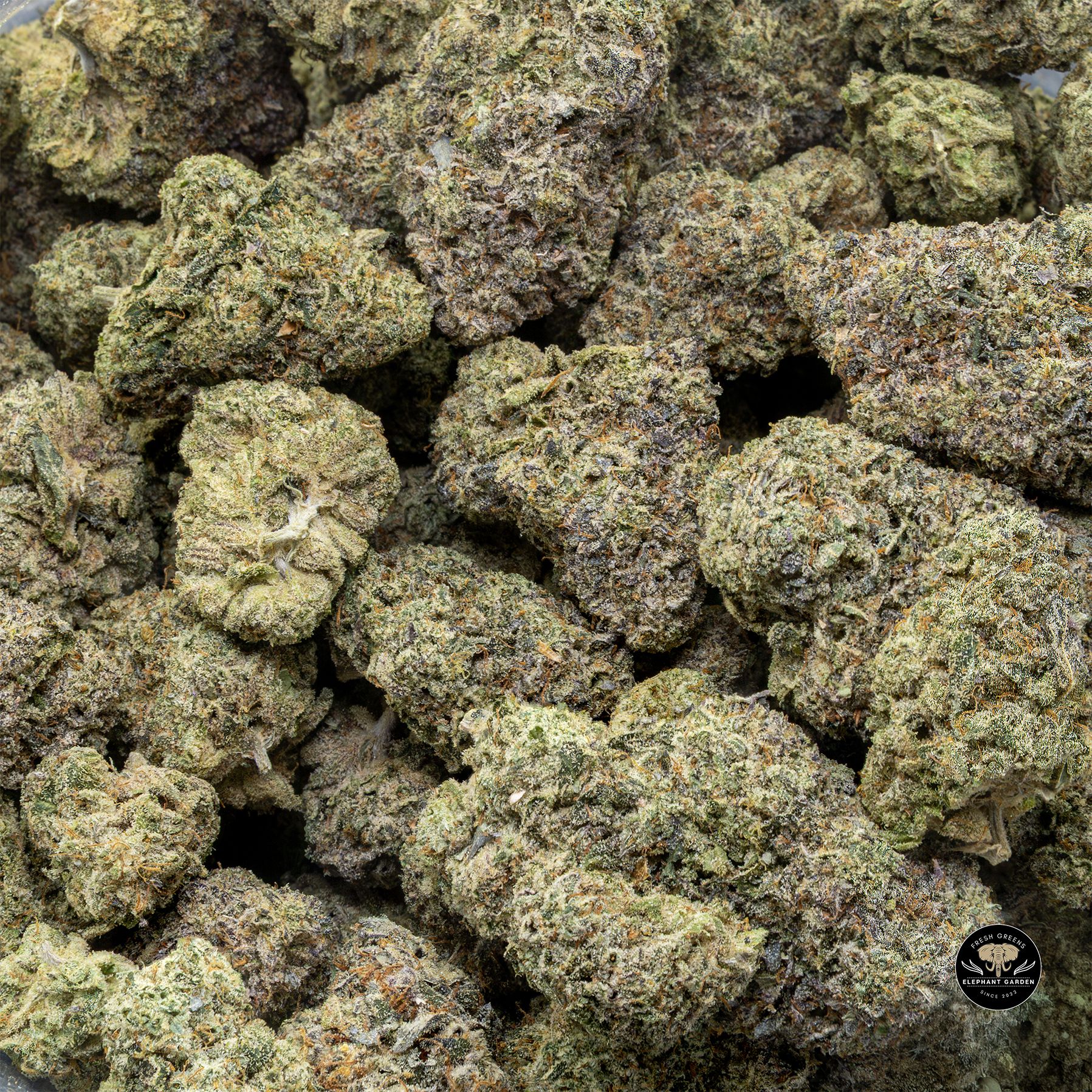 Orange Soda (Bulk) - Hybrid - AAA+