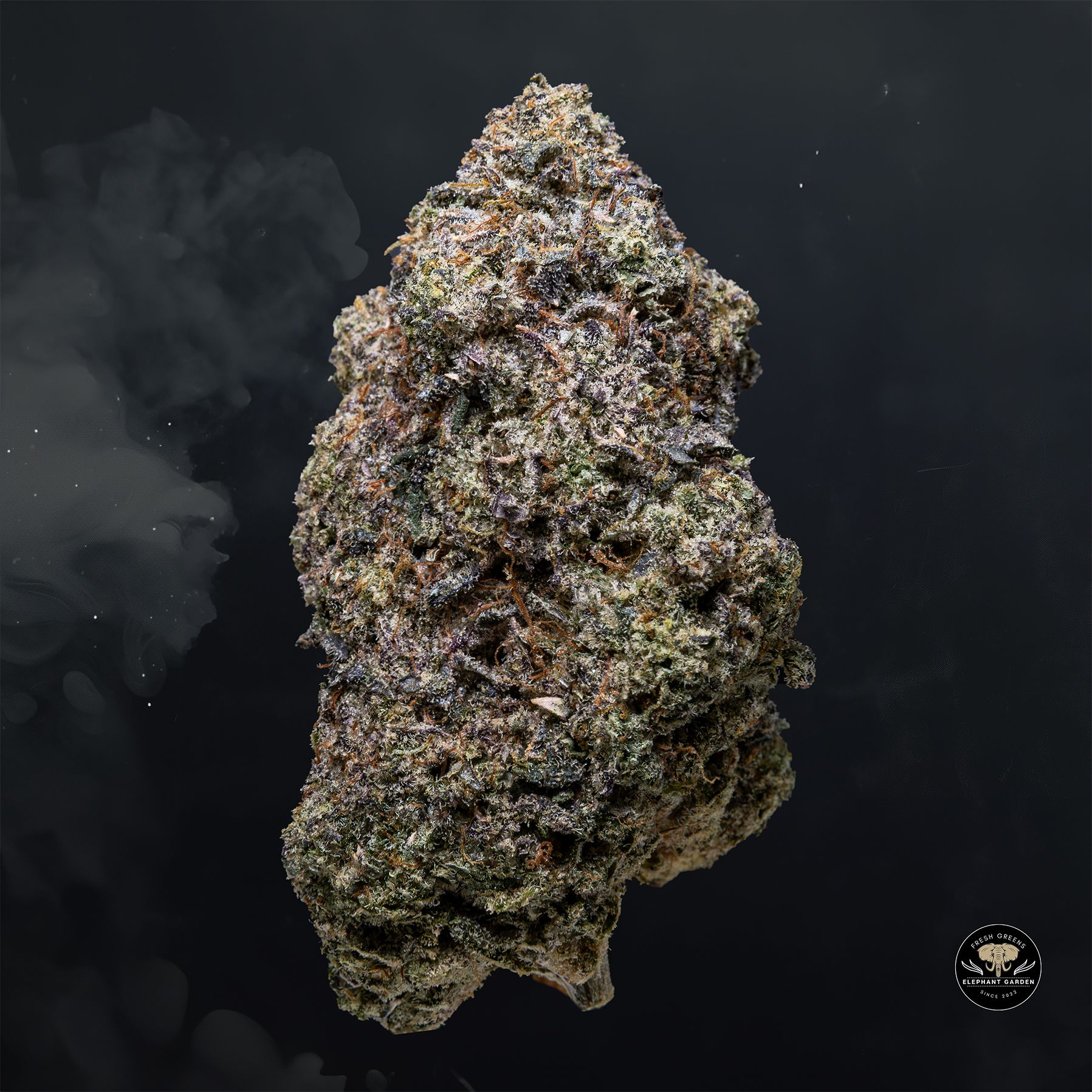 Buy Orange Soda at Elephant Garden Co Weed Dispensary Float 3 11 25 2